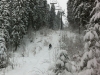 22nd March 2013 - Powder day and still loads of snow coming down! More like winter than spring!